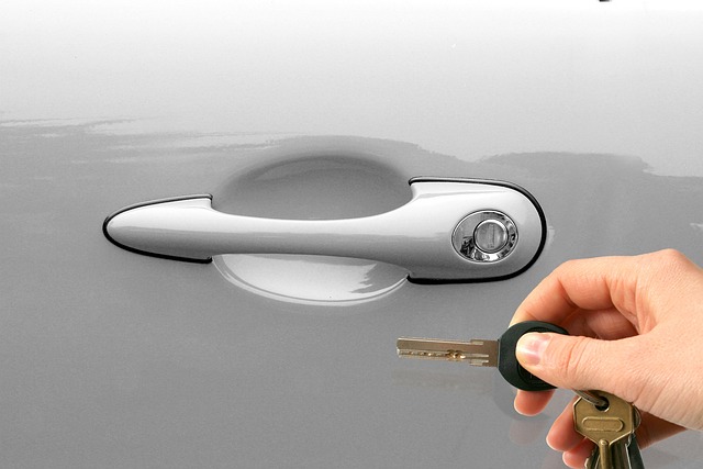 Automobil je i pro cizince.