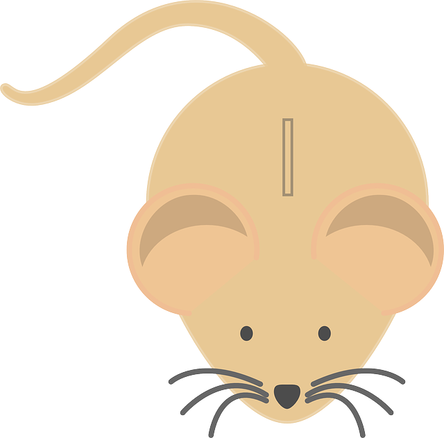 Pokladnice myš